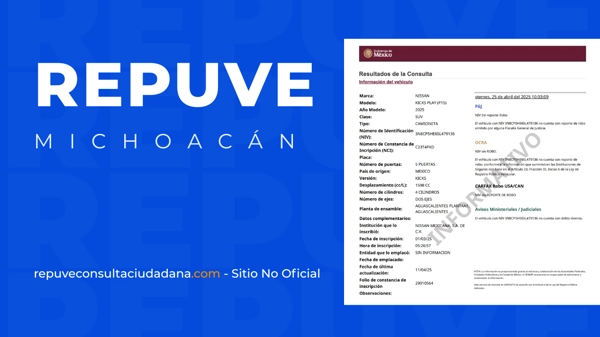 REPUVE Michoacán